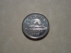 2025  Canada Beaver   Coin 5 Cent  Supersweet Little  Coins  Unc Nice Gems