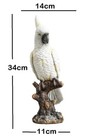 White Bald Parrot Bird Statue Fairy Sculpture Tabletop Figurine Home Decor Gifts