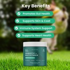 Paw Balance Dog Probiotic   Multivitamin Soft Chews 60 Count Colostrum Omega 3