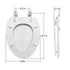 Elongated Toilet Seat In White