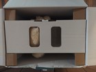 Ageless  Innovations Joy For All Companion Pet Golden Pup Interactive Dog New 