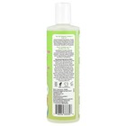Kids  Shampoo   Body Wash  Green Apple Watermelon   12 Fl Oz  355 Ml 