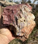       rr        Top Quality Druzy Pockets Arizona Rainbow Petrified Wood 4 25 Lb     