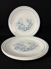 Corning Corelle Colonial Mist Blue Floral Dish Dinner 12 Piece Set Plates Cups