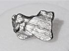 2 94 Grams Campo Del Cielo Meteorite Iron Argentina Flat Side Coa