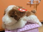 Ty Beanie Buddy Patches Dog 17   1995 3rd Generation With Original Tags