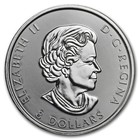 2017 Canada Wildlife Series Grizzly Bear 1 5oz Silver Bu Coin