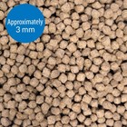 Api Bottom Feeder Pellets With Squid Fish Food 1 3 Oz Container Fast Sinking Mix