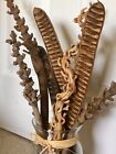 5pc Dried Decor Royal Poinciana Pods Wooden Slices 12   