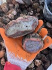 Raw Moroccan Agates - 1 Lb Of Natural Rough Agate  Achate Morocco  Lapidary