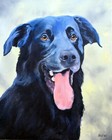 Dachshund Dog Custom Pet Portrait Oil Painting 5 X 7  On Canvas Original Rzzart
