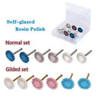 Dental Polishing Discs Spiral Brush Resin Composite Ceramic Zirconia Polisher