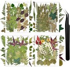 110  Pcs Dried Flowers Leaves For Crafts  Real Pressed Flowers Dry Leaves For   