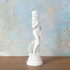 Resin Aphrodite Sculpture 18cm     Greek Goddess Statue For Home  Office  Bookshe