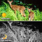 3d 8x Night Vision Binoculars Infrared Digital Head Mount Goggles For Hunting Us