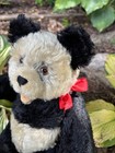 Steiff 1950 s 14    Vintage Panda Bear Teddy Bear Squeaker  Rare Bear