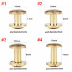 20x Arc Belt Screw Leather Craft Chicago Nail Brass Solid Rivet Stud Head 4-10mm
