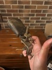 Better Or Antique Leedy Cowbell Bass Drum Mount   Small Bell 