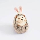 Spunky Hedgehog With Bunny Ears Plush Stuffed Animal Toy  5 