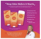 3 Pack Lume Whole Body Deodorant Clean Tangerine  Solid Stick 2 6oz New In Box