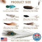 Marforever 100 Pcs Natural Pheasant Feathers  7 Styles Bulk Feathers Peacock 