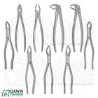 75 Pcs Oral Dental Extracting Surgery Kit Elevator Forceps Set German Grade