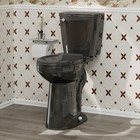 21  Black Tall Two Piece Toilet 1 28 Gpf Siphon Jet Flush  Soft-close Seat