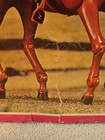 Rare 1976 Equestrienne Barbie   Her Horse Dancer 9948 Nrfb Foreign Issue