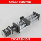 1000mm Cnc Slide Stroke Ball Screw Linear Long Stage Actuator Stepper Moto