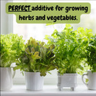 Greensand Soil Amendment  Special Container Gardening Additive