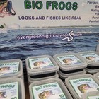 Bestbait Bio Frogs 3 Pack Looks And Fishes Like Real Frogs