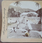 Dominica West Indies Drying Cocoa Under The Sun Antique Keystone Stereoview