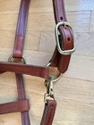 Perri s 1  Leather Brown Turnout Halter