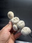 5 Rare Fossil Cretaceous Sea Urchins In Matrix Bell Co Texas Wolf Fam Col