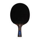  dhs Sports Usa  5 Star Carbon Fiber Table Tennis Racket Shakehand Paddle W  Bag