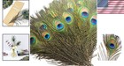 200 Pcs Natural Peacock Feathers For Crafts And Decor
