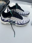 Nike Air Max Plus Dm0032-100  grape  White purple teal black Low Top