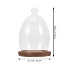 Glass Display Dome Cloche With Wooden Base Glass Cloche Dome Display Showcase   