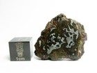 El Eglab 001 6 24g Full Slice Mesosiderite Meteorite
