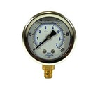 Liquid Filled Lower Mount Pressure Gauge With 2  Dial  0-100 Psi  1 8  Male Npt