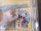 New 1998 Pedigree Best In Show Bulldog Collector Figure