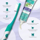 Hydroxyapatite Toothpaste  Sls   Fluoride Free  Whitening Toothpaste - Freshens