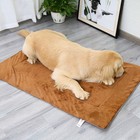 Self Warming Pet Bed Cushion Pad Dog Cat Cage Kennel Crate Soft Mat S m lxl