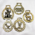 Brass Horse Medallion Vintage English Stag Deer Hunt Dog Rider Lot Of 5 Harness