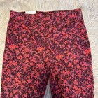 Terra   Sky High Rise Fitted Leggings Womens Size 0x  14w  Red Stretch Pants