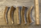  3 Pack  Medium  Elk deer Antler Premium Dog Chews   oregon Antler Works  