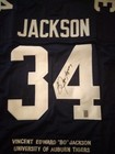Bo Jackson Auto Custom Stat Auburn Tigers Football Jersey Heisman  bo Holo 