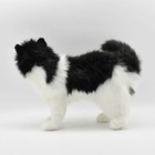 Hansa Black White Cat Plush Stuffed Animal Realistic Large 16in Japan