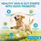 Probiotics For Dogs  200 Soft Chews With Digestive Enzymes And Prebiotics  Daily