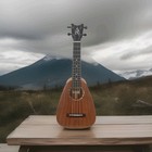 Romero Creation  St-concert   Mahogany Ukulele